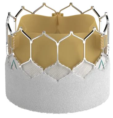 Edwards SAPIEN 3 Ultra valve